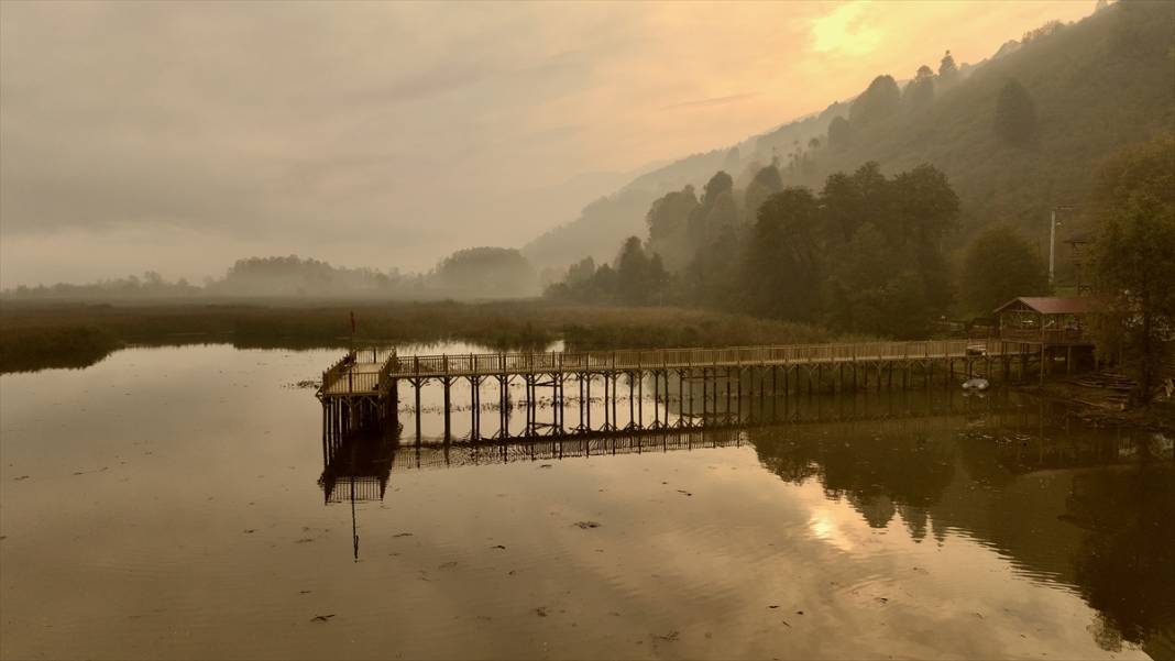 Efteni Gölü Kuş Cenneti'nde sonbahar 4