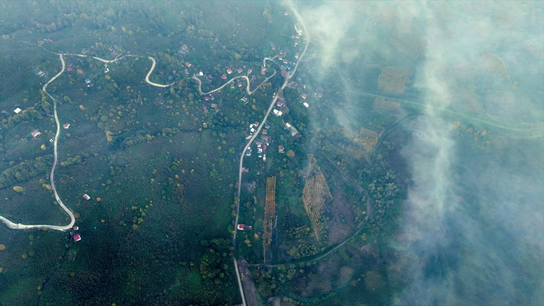 Efteni Gölü Kuş Cenneti'nde sonbahar 5
