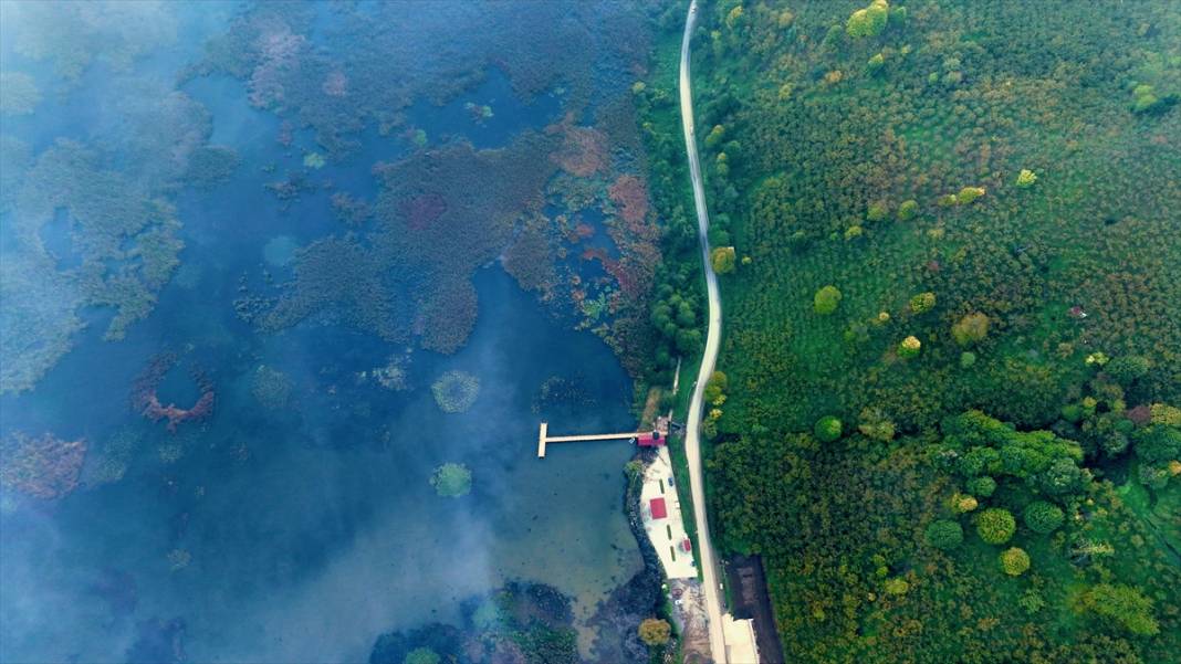 Efteni Gölü Kuş Cenneti'nde sonbahar 6