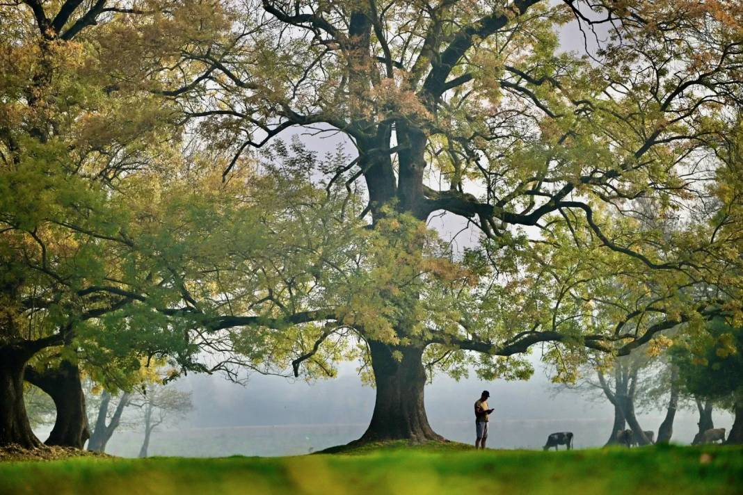 Efteni Gölü Kuş Cenneti'nde sonbahar 8