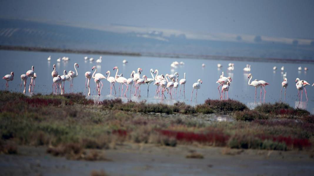 Yumurtalık Lagünü’nde renkli sonbahar 17