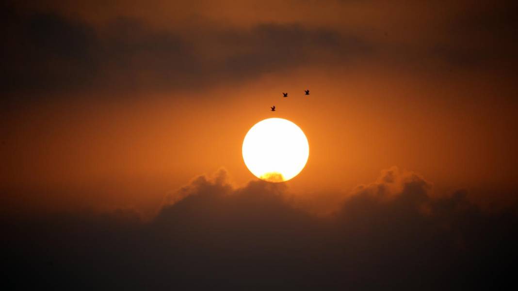 Yumurtalık Lagünü’nde renkli sonbahar 2