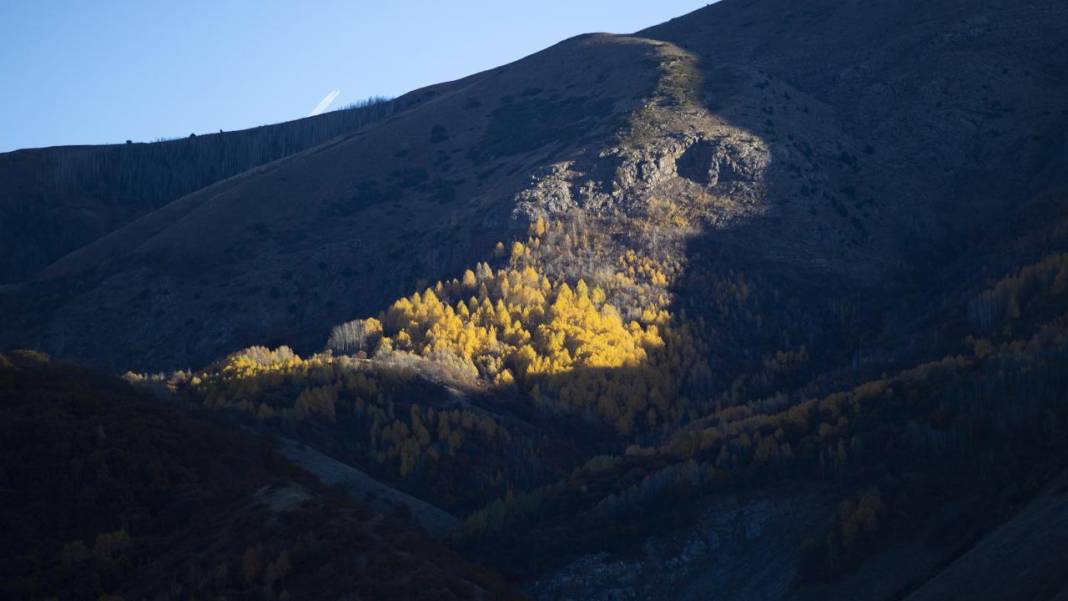 Tunceli'nin Salördek Ormanları'nda 'sarı' sonbahar 11