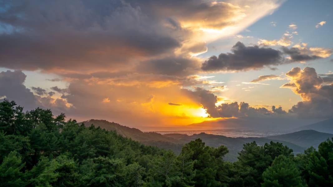 Sonbahar, kahkaha çiçekleri ile renklendi 7