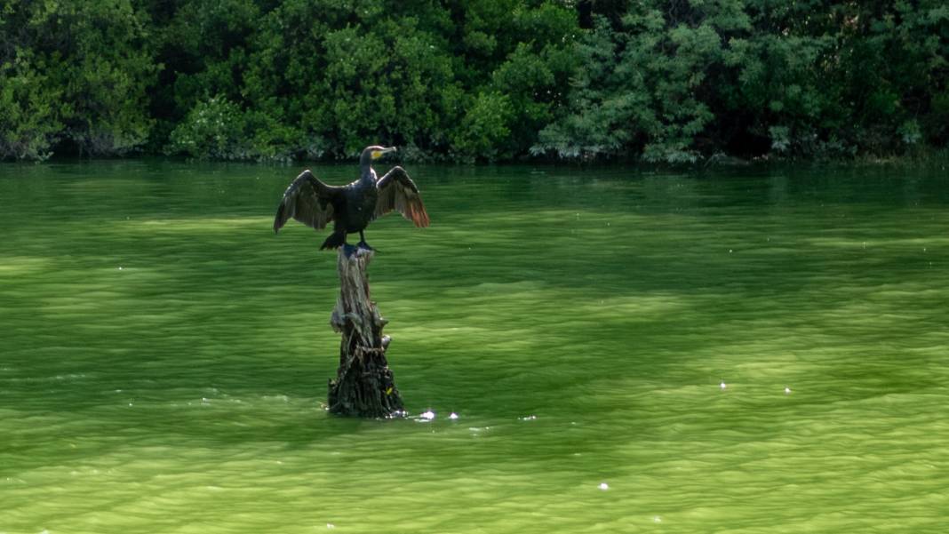 Karacaören Baraj Gölü'nde tekne turu ile tefekkür imkanı 11