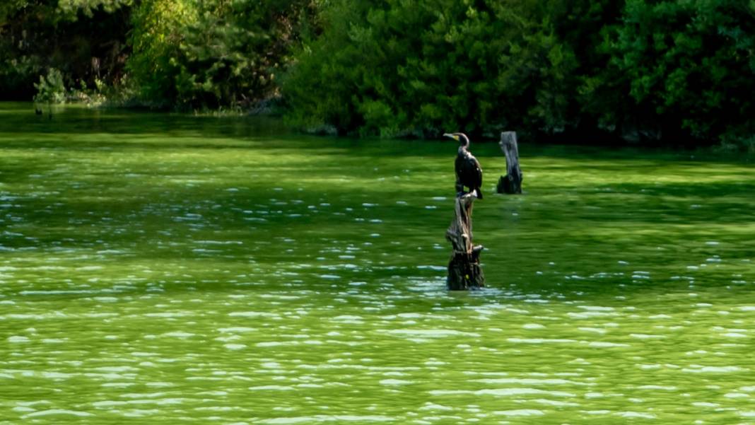 Karacaören Baraj Gölü'nde tekne turu ile tefekkür imkanı 12