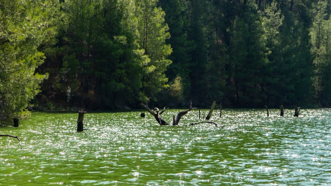 Karacaören Baraj Gölü'nde tekne turu ile tefekkür imkanı 13