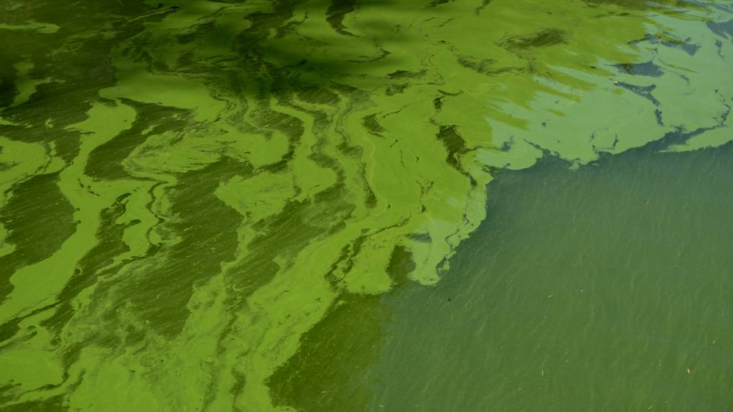 Karacaören Baraj Gölü'nde tekne turu ile tefekkür imkanı 8