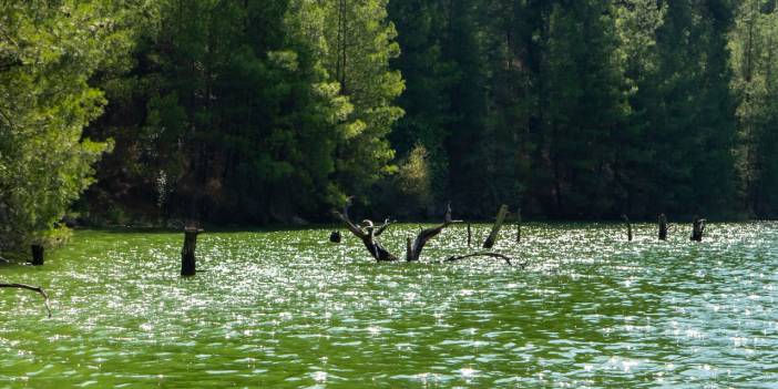 Karacaören Baraj Gölü'nde tekne turu ile tefekkür imkanı