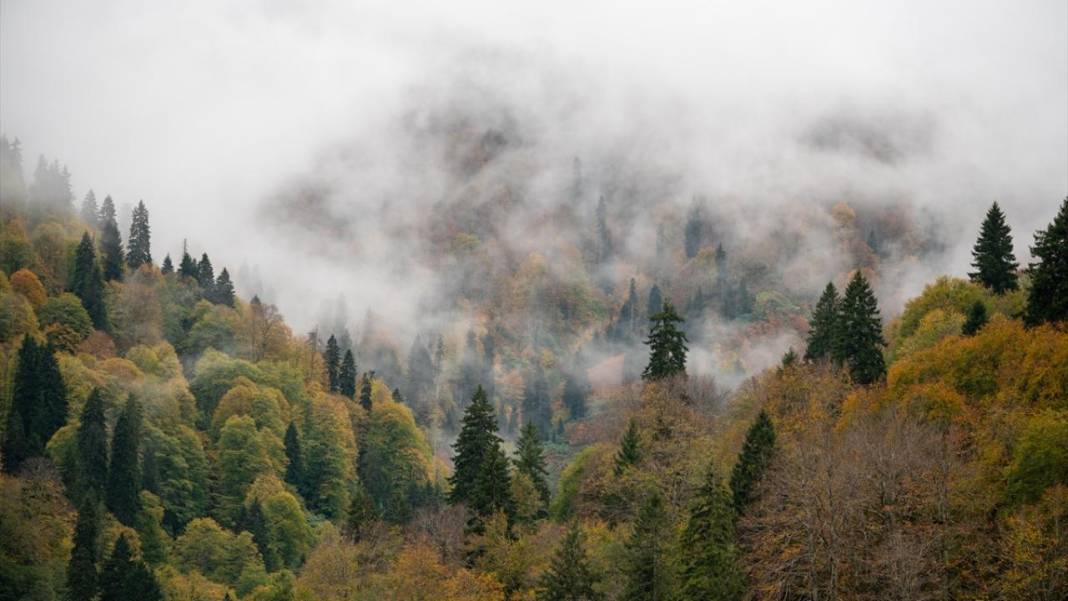 Borçka'daki Karagöl, güz renklerine büründü 10