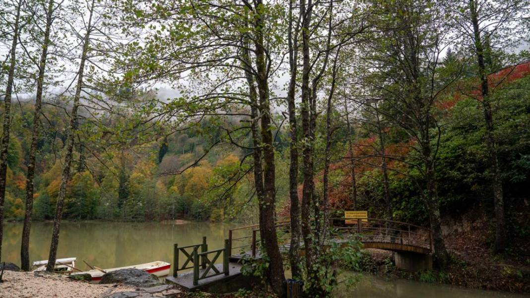 Borçka'daki Karagöl, güz renklerine büründü 12