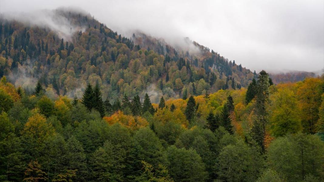 Borçka'daki Karagöl, güz renklerine büründü 2