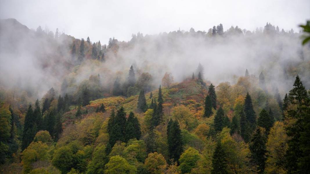 Borçka'daki Karagöl, güz renklerine büründü 5