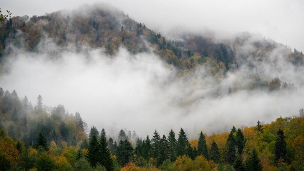 Borçka'daki Karagöl, güz renklerine büründü 7