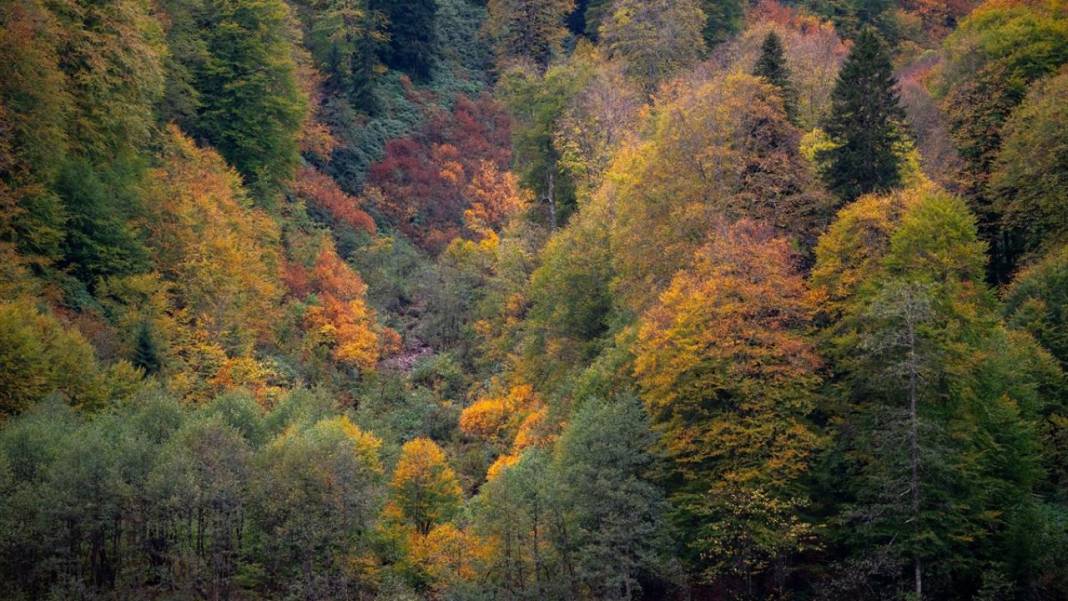 Borçka'daki Karagöl, güz renklerine büründü 9