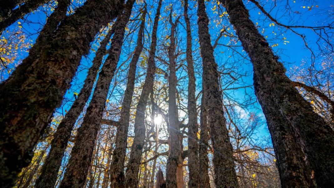 Isparta'da sonbahar 10