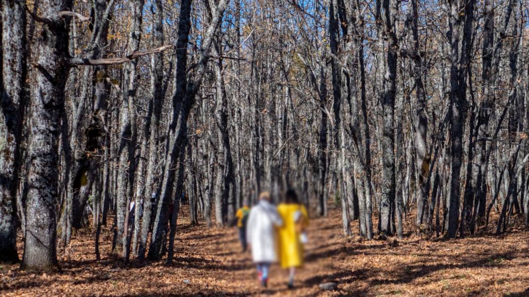 Isparta'da sonbahar 11