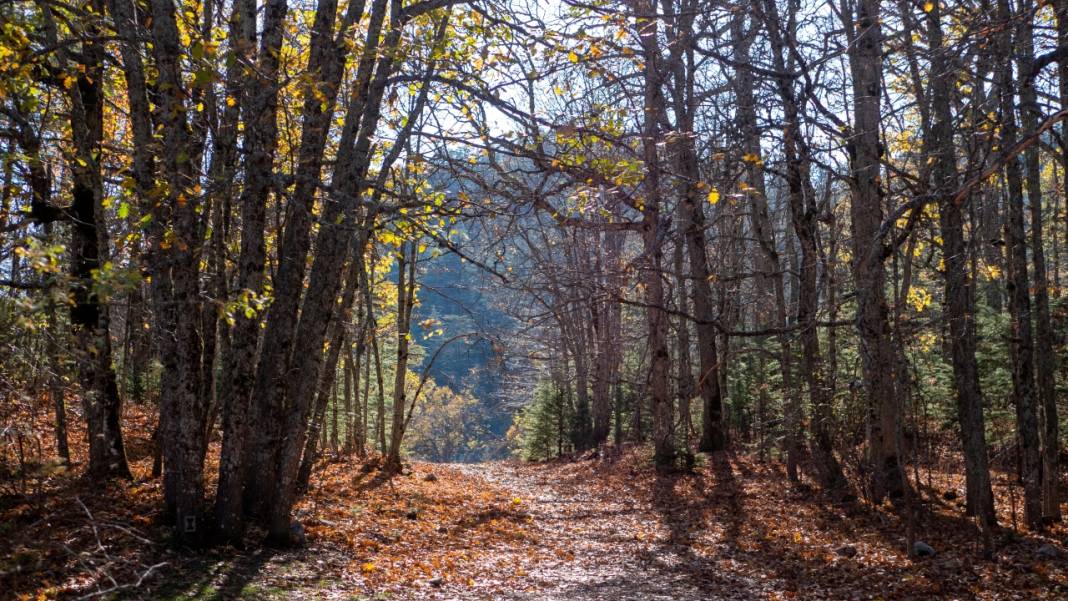 Isparta'da sonbahar 2
