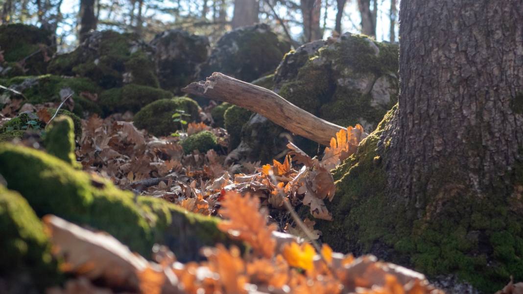 Isparta'da sonbahar 3