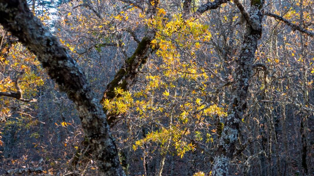 Isparta'da sonbahar 4