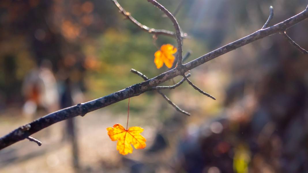 Isparta'da sonbahar 5
