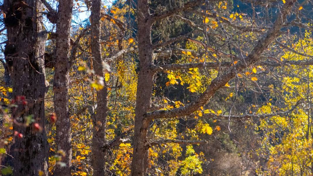 Isparta'da sonbahar 6