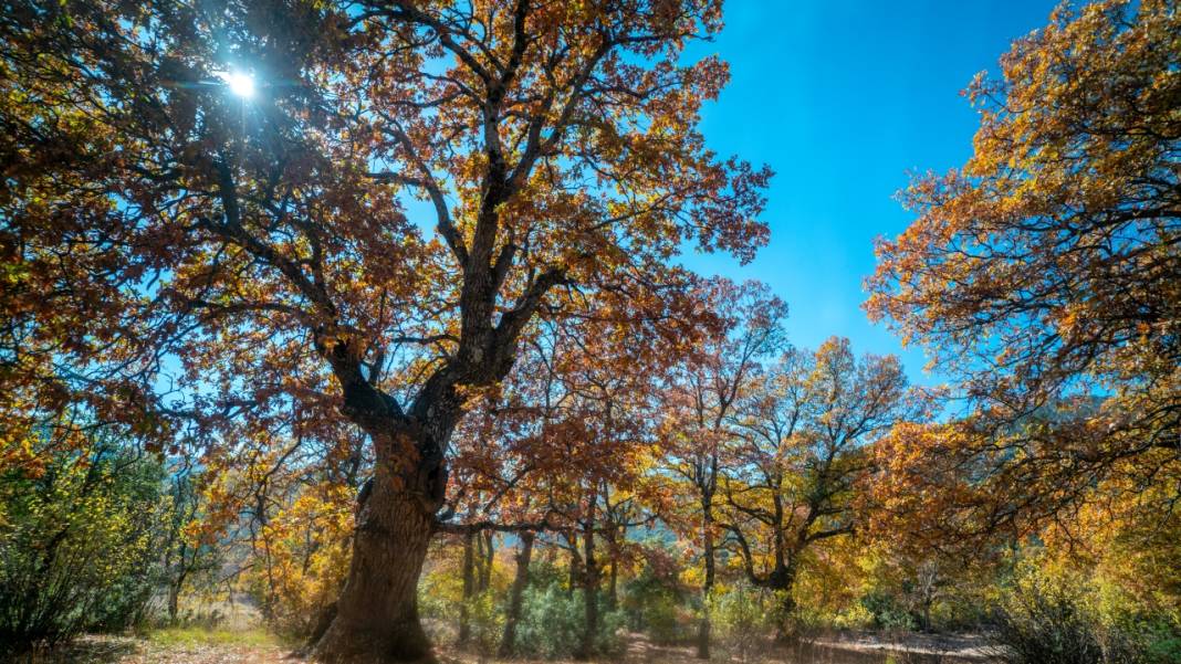 Isparta'da sonbahar 8