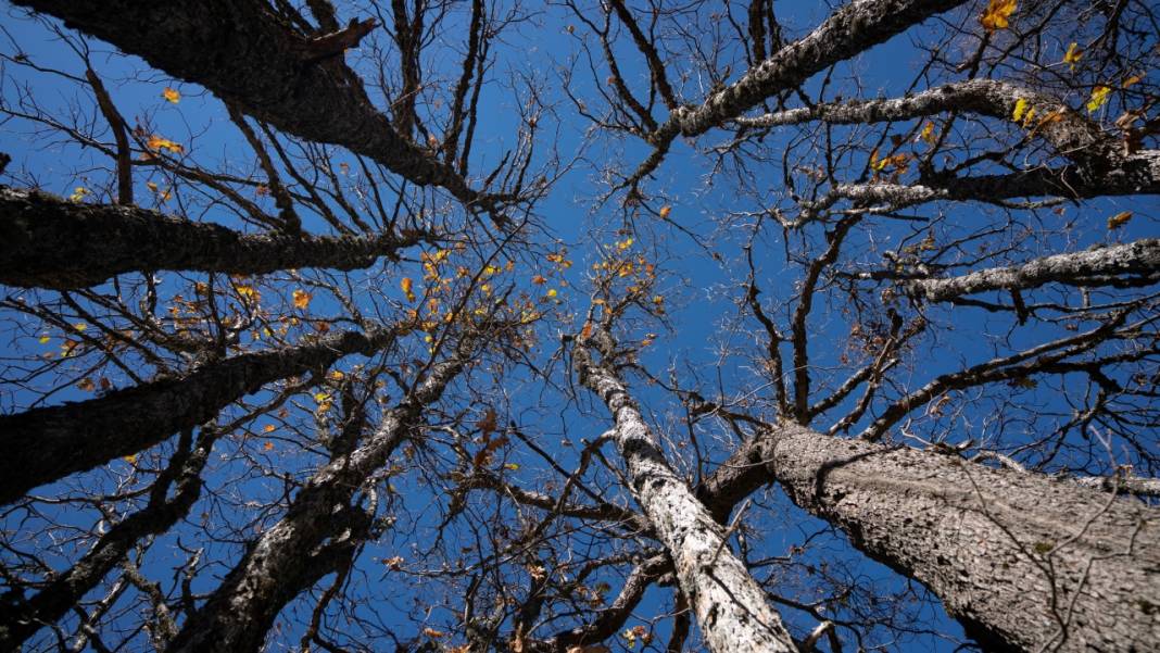 Isparta'da sonbahar 9