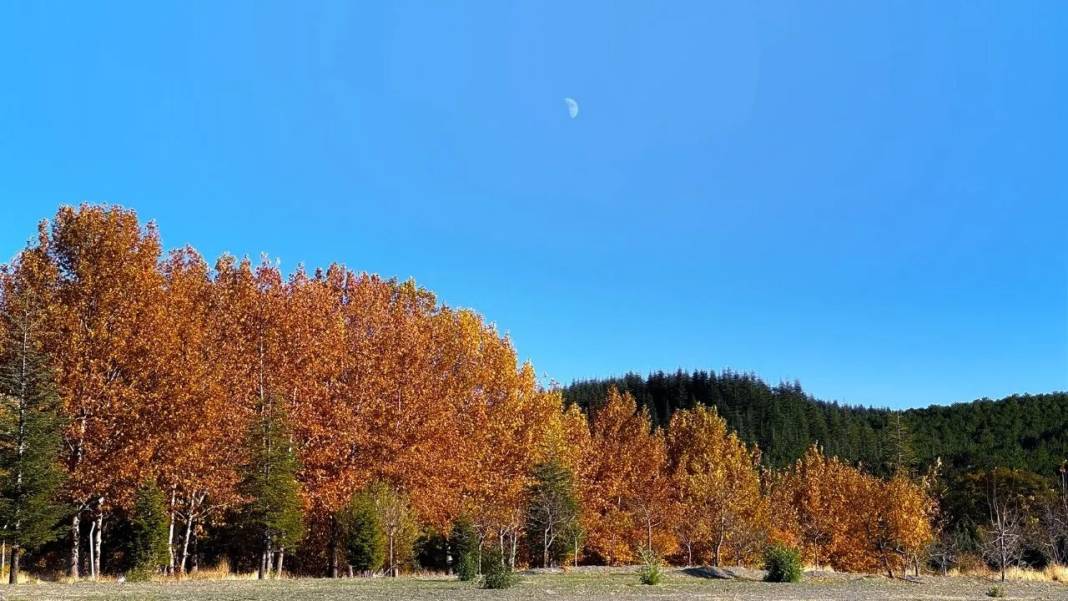 Hazar Gölü'nde sonbahar renkleri 1
