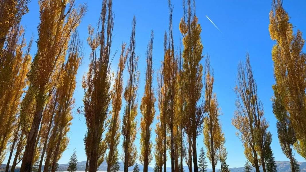 Hazar Gölü'nde sonbahar renkleri 3