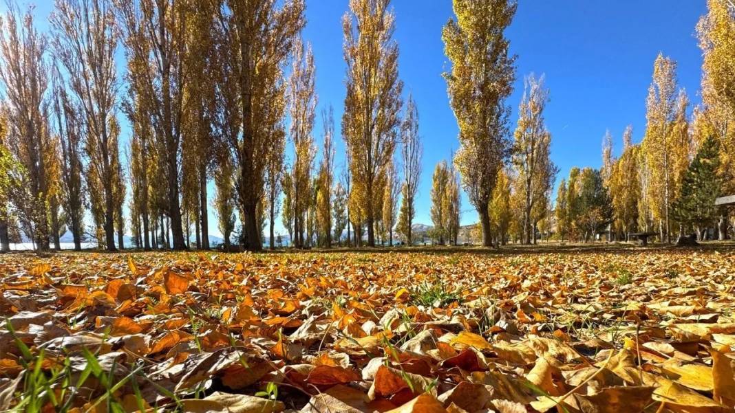 Hazar Gölü'nde sonbahar renkleri 5