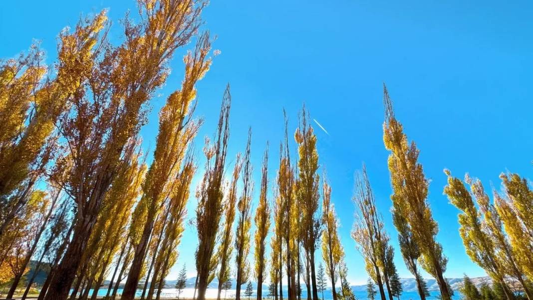 Hazar Gölü'nde sonbahar renkleri 6