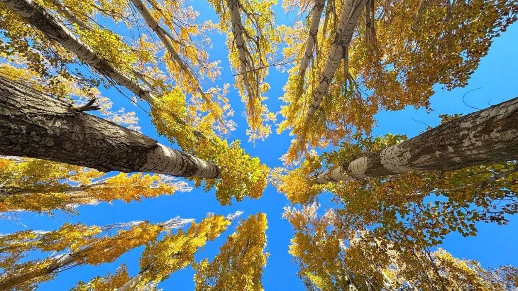 Hazar Gölü'nde sonbahar renkleri 7