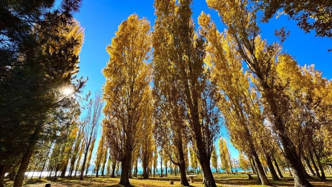 Hazar Gölü'nde sonbahar renkleri 8