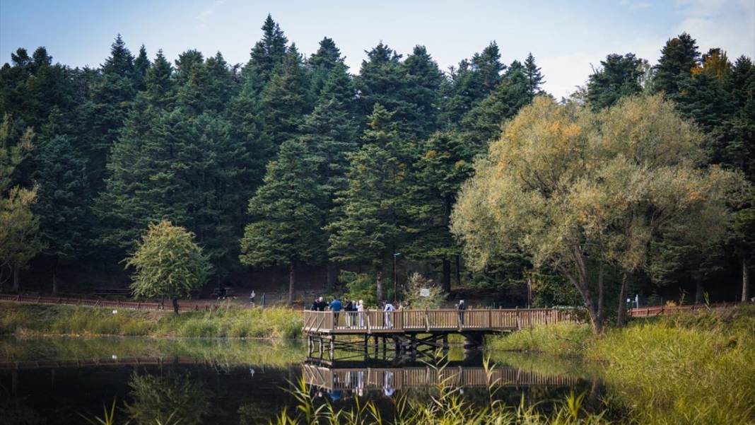 Bolu Gölcük Tabiat Parkı'nda sonbahar 1