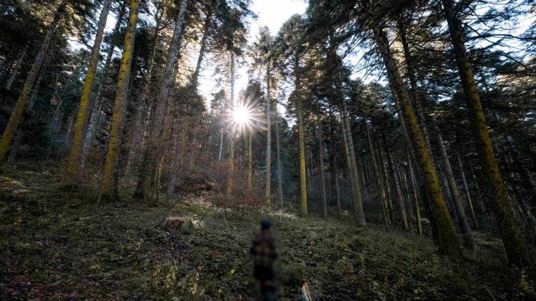 Bolu Gölcük Tabiat Parkı'nda sonbahar 11