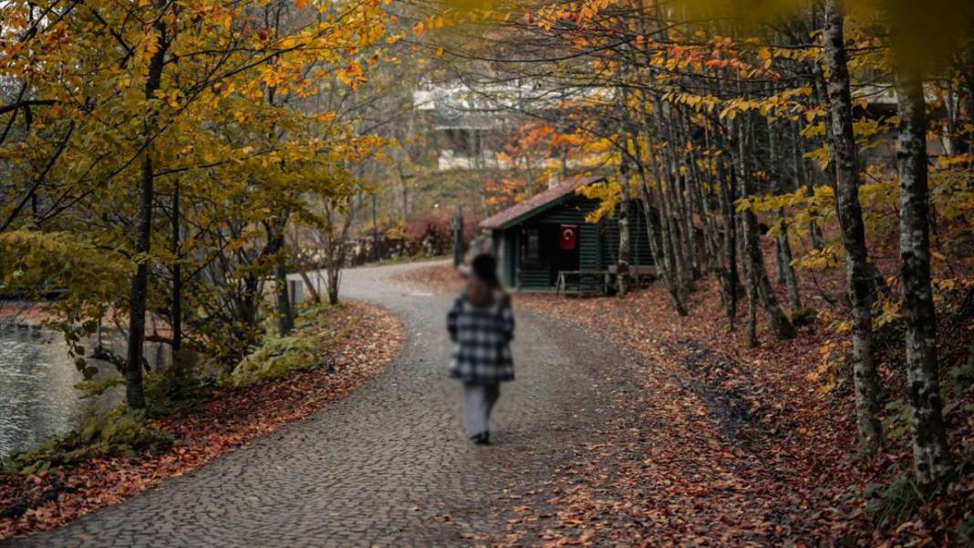 Bolu Gölcük Tabiat Parkı'nda sonbahar 12