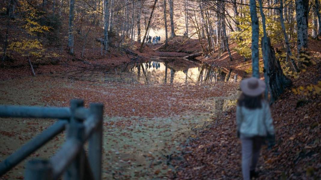 Bolu Gölcük Tabiat Parkı'nda sonbahar 13