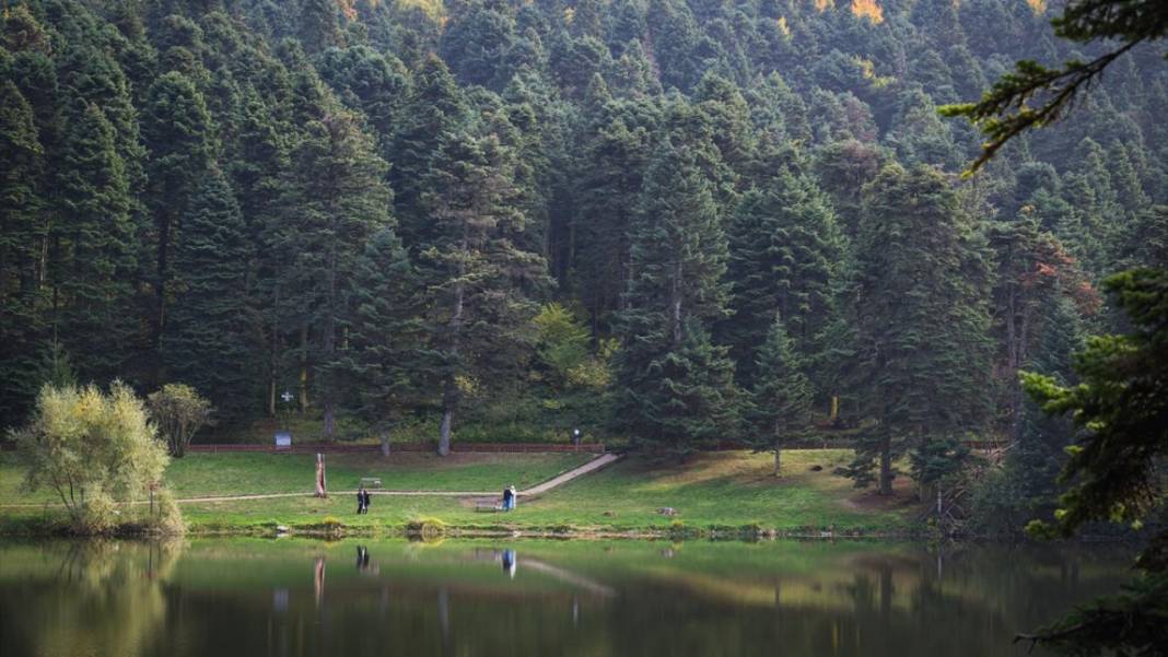 Bolu Gölcük Tabiat Parkı'nda sonbahar 15