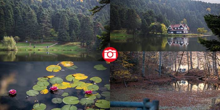 Bolu Gölcük Tabiat Parkı'nda sonbahar