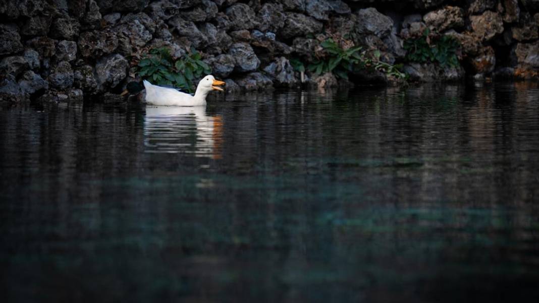 Anadolu’nun saklı mekanlarından: Gökpınar Gölü 5