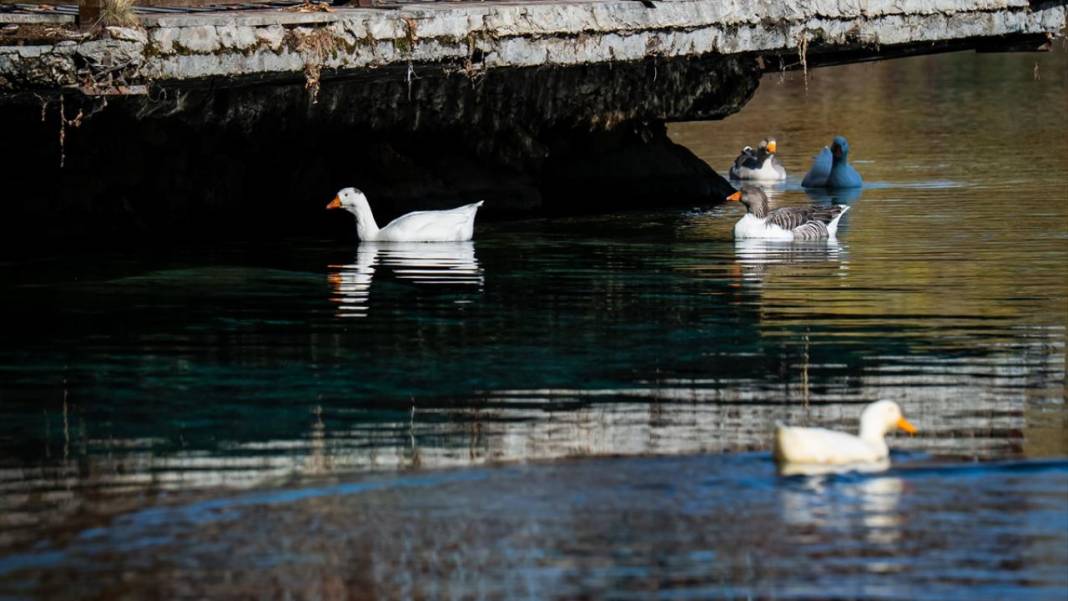 Anadolu’nun saklı mekanlarından: Gökpınar Gölü 8