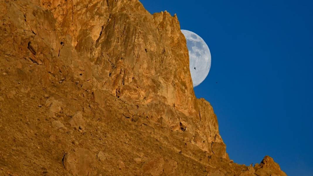 Gökyüzünde Dolunay güzelliği 1