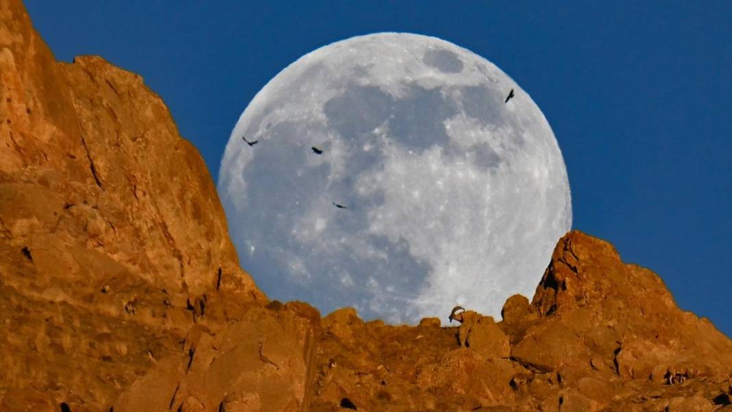 Gökyüzünde Dolunay güzelliği 3