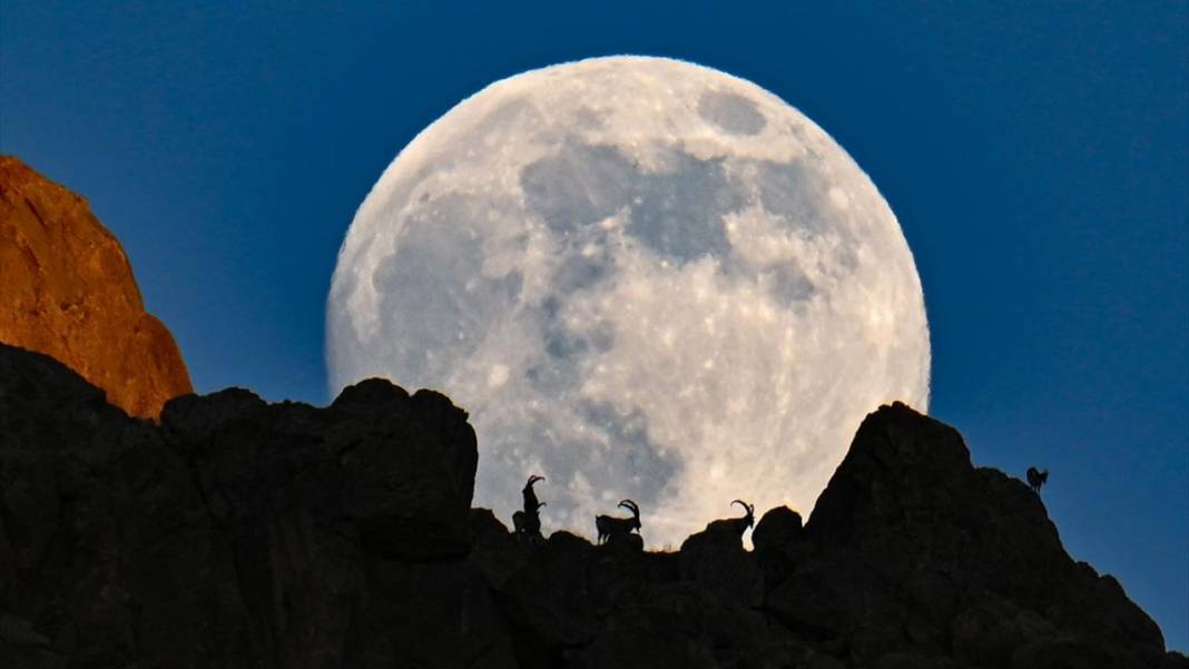 Gökyüzünde Dolunay güzelliği 4