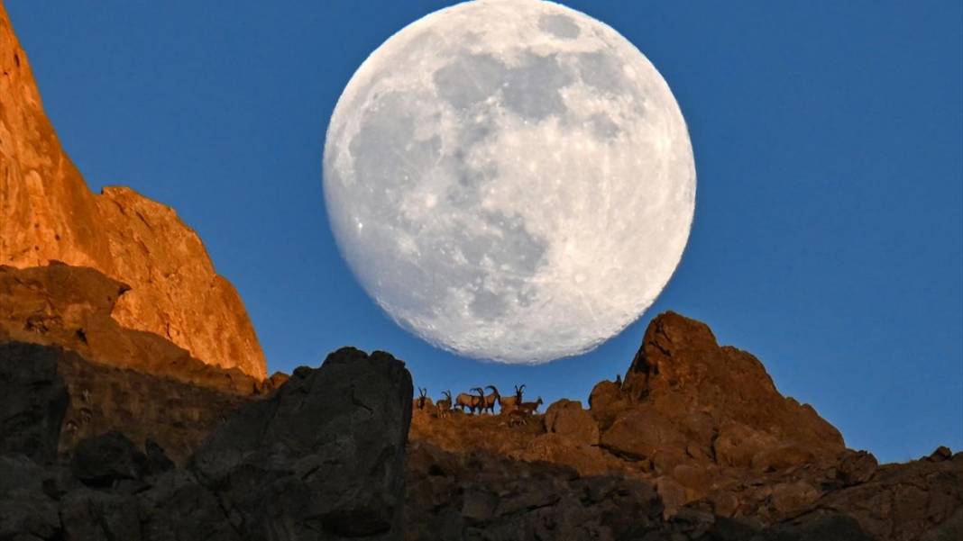 Gökyüzünde Dolunay güzelliği 5