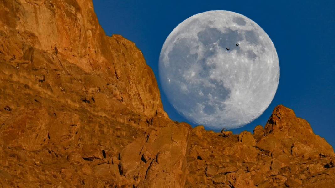 Gökyüzünde Dolunay güzelliği 6