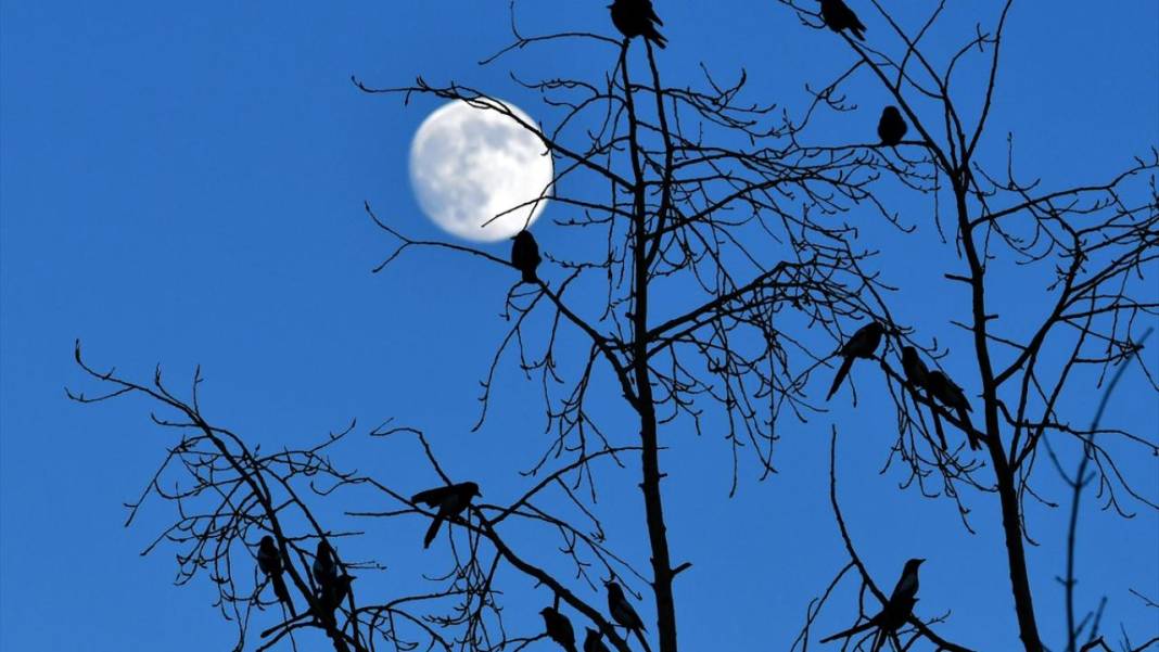 Gökyüzünde Dolunay güzelliği 9