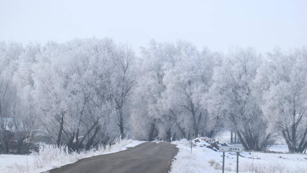 Ağrı'da ağaçlar kırağı tuttu 1