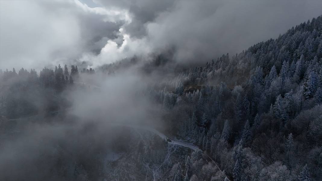 Ağrı'da ağaçlar kırağı tuttu 10